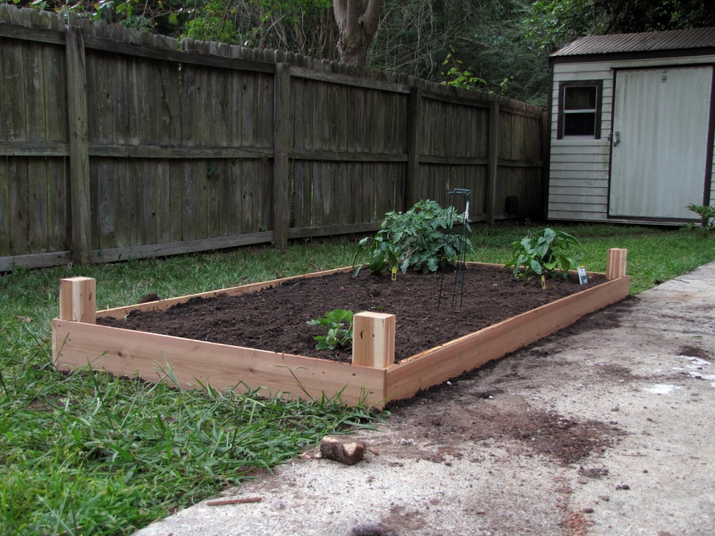 ceder raised bed for vegetable garden
